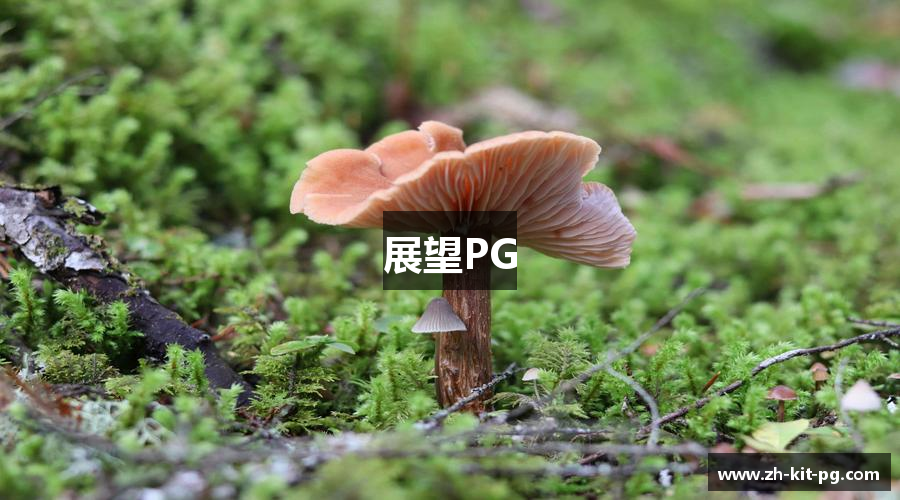展望PG